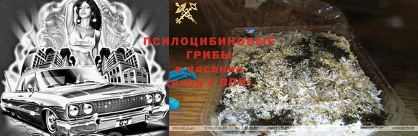 МДМА Абаза