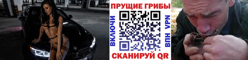 kraken вход  Дятьково  Псилоцибиновые грибы прущие грибы 